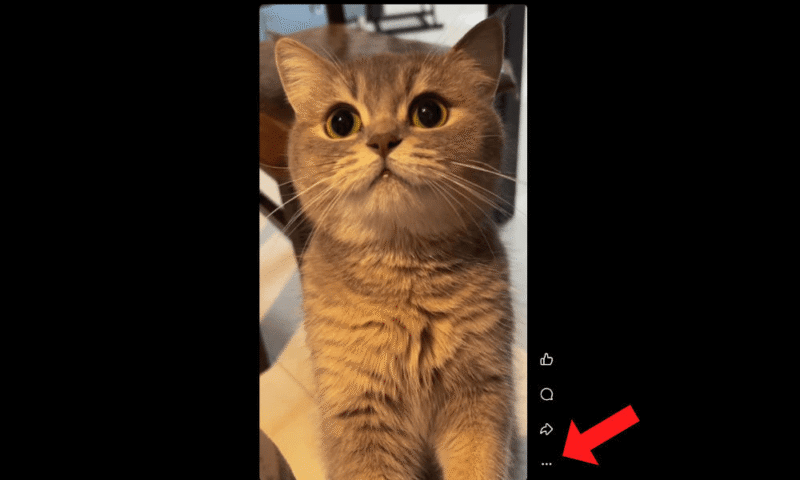 save-videos-facebook-context-menu save videos facebook context menu