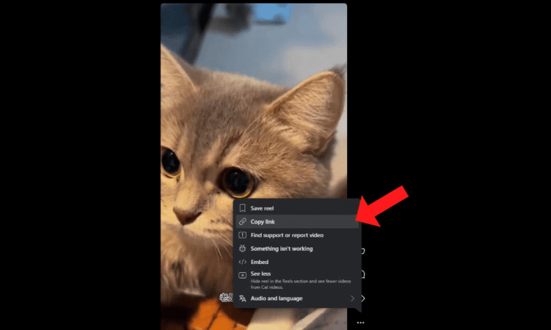 save-videos-facebook-copy-link save videos facebook copy link