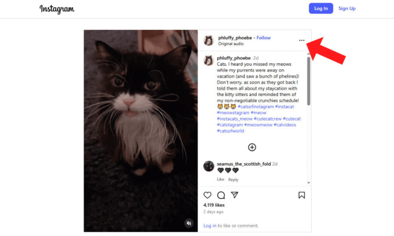save-videos-instagram-context-menu save videos instagram context menu