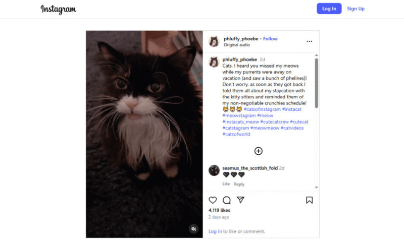 save-videos-instagram-video save videos instagram video