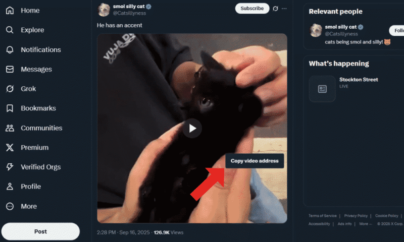 save-videos-twitter-copy-link save videos twitter copy link