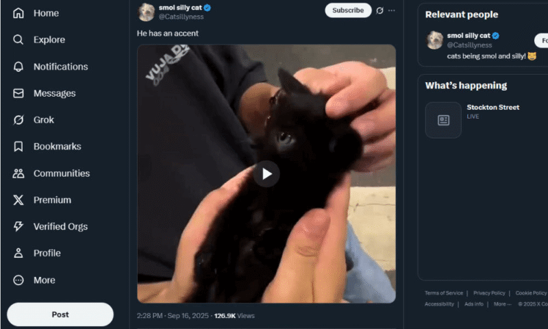 save-videos-twitter-video save videos twitter video