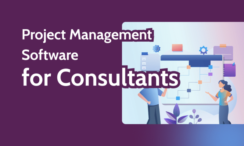 Project Management Software for Consultants