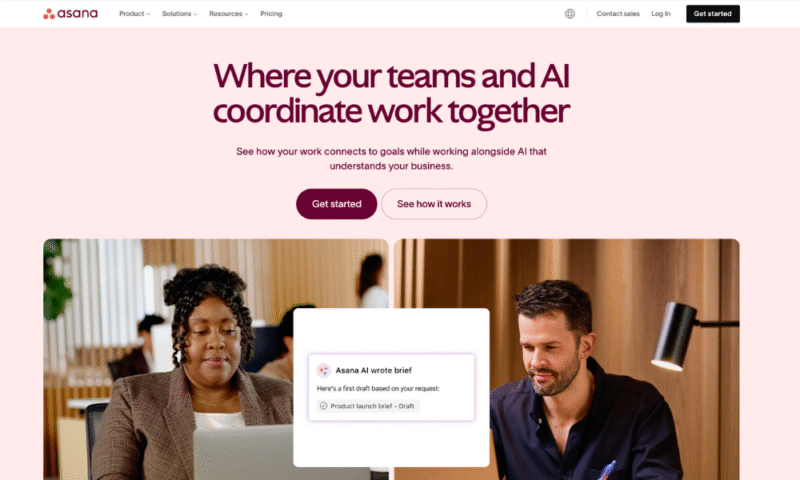 asana project management software