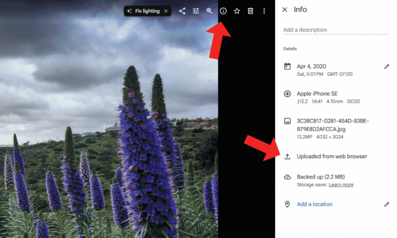 google-photos-duplicates-information google photos duplicate information