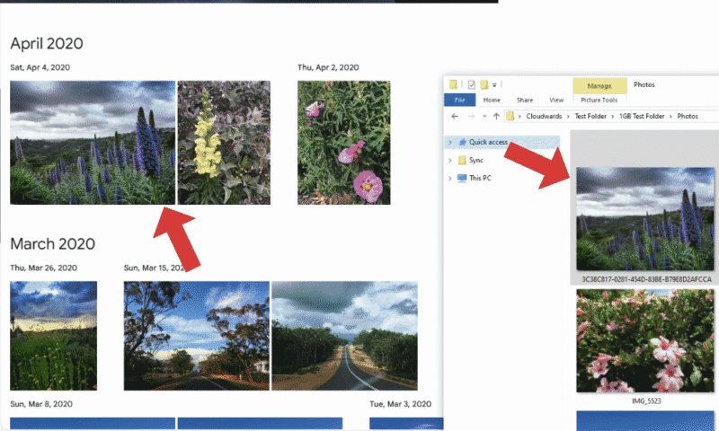google-photos-duplicates-manual-upload google photos duplicates manual upload