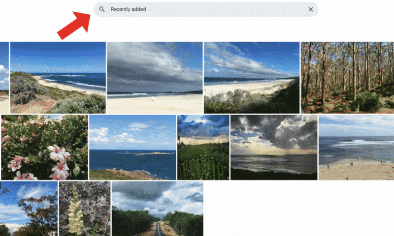 google-photos-duplicates-recently-added google photos duplicates recently added