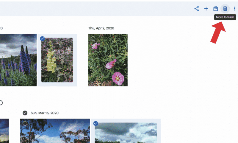 google-photos-duplicates-trash google photos duplicates trash