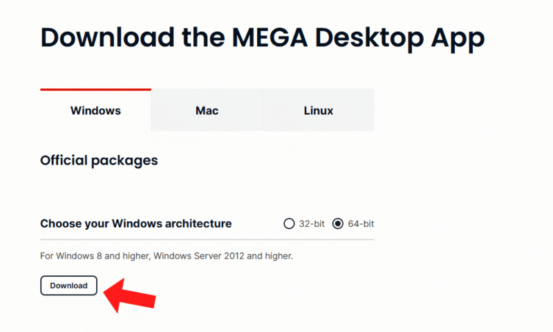 mega-review-download mega review download