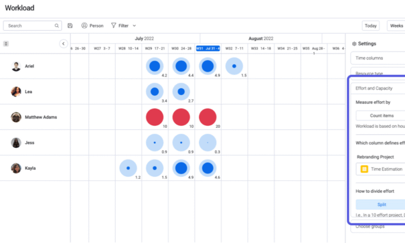 monday workload management tool