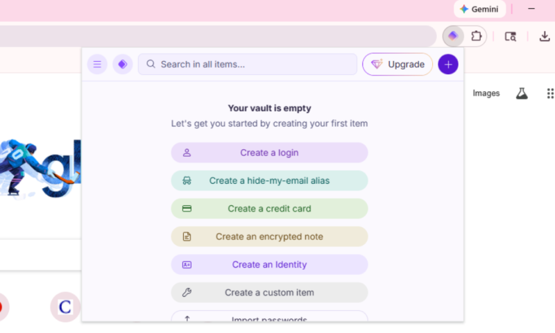 proton-pass-extension-interface proton pass extension interface