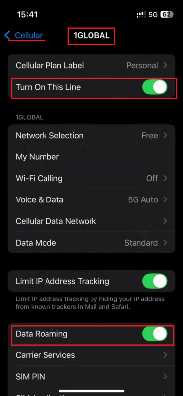 saily enable data roaming