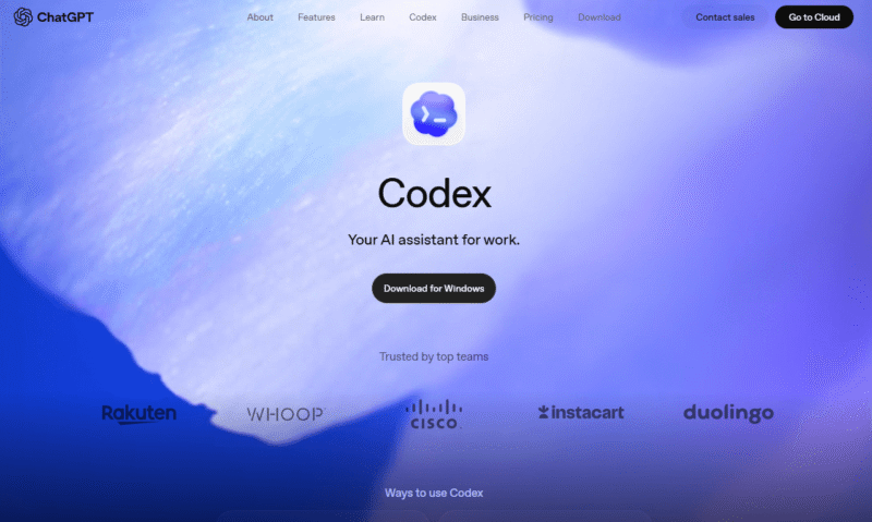 coding-asstants-openai-codex coding asstants openai codex